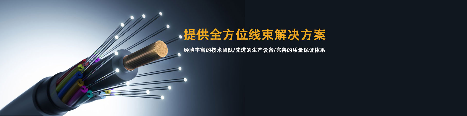 分类导航
